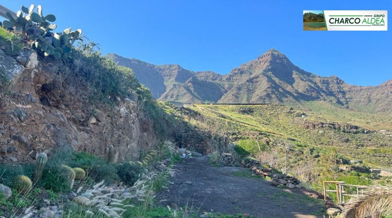 Las Palmas - Molino de Viento - 11342m2