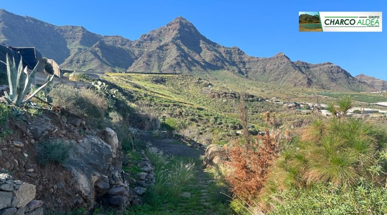 Las Palmas - Molino de Viento - 11342m2