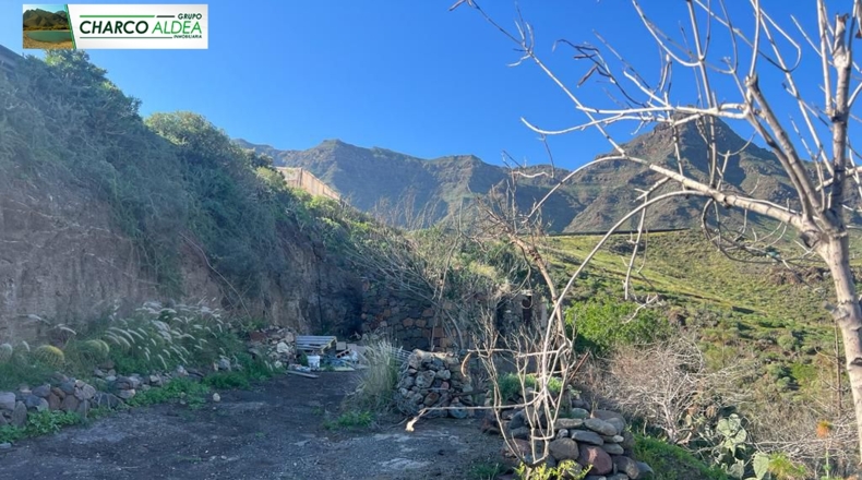 Las Palmas - Molino de Viento - 11342m2