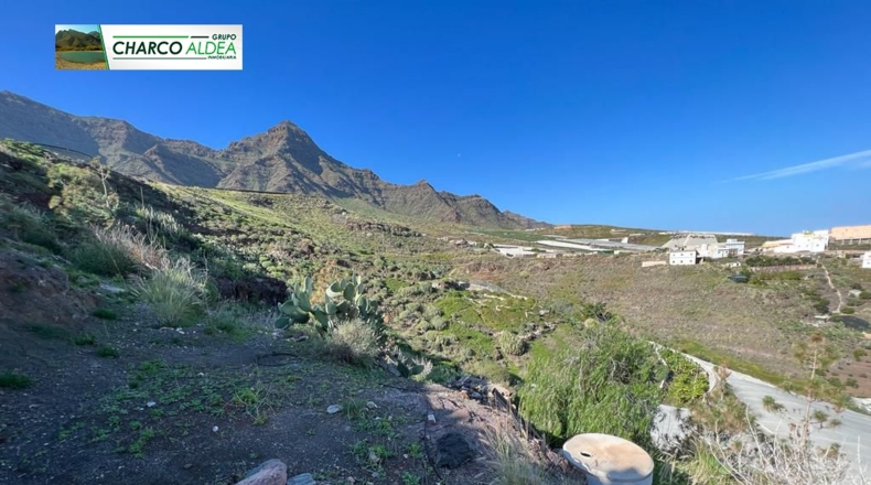Las Palmas - Molino de Viento - 11342m2