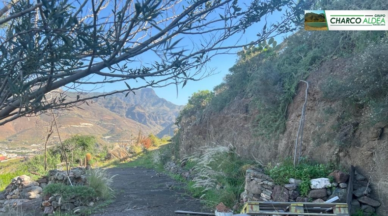 Las Palmas - Molino de Viento - 11342m2