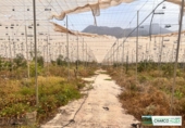 Non-developable land for sale in La Aldea de San Nicolás ref: TR73872 photo