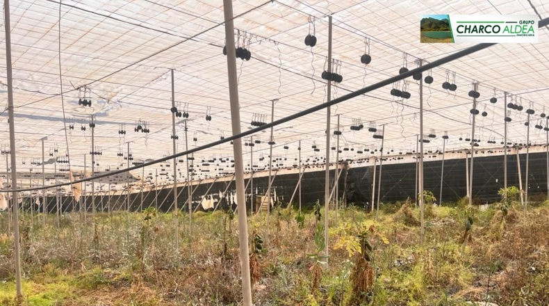 Las Palmas - Molino de Viento - 10000m2