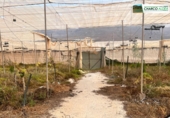 Non-developable land for sale in La Aldea de San Nicolás ref: TR73872 photo