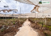 Non-developable land for sale in La Aldea de San Nicolás ref: TR73872 photo