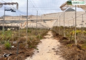 Non-developable land for sale in La Aldea de San Nicolás ref: TR73872 photo