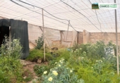 Non-developable land for sale in La Aldea de San Nicolás ref: TR73872 photo