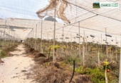 Non-developable land for sale in La Aldea de San Nicolás ref: TR73872 photo