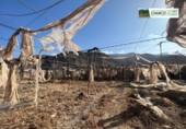 Rural estate for sale in La Aldea de San Nicolás ref: TR92018 photo