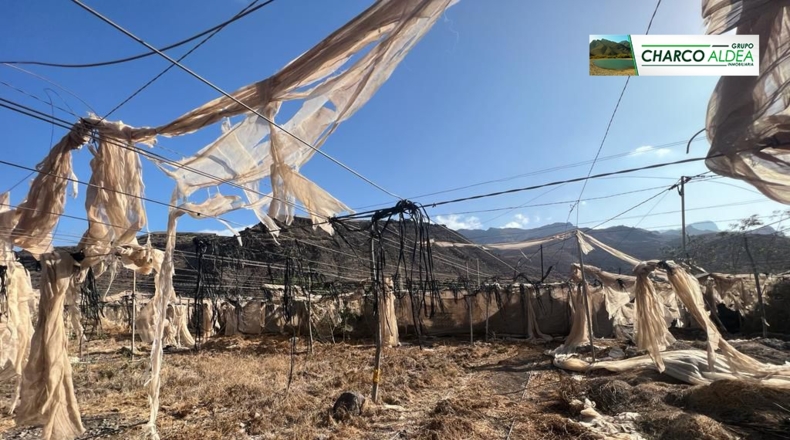 Las Palmas - Molino de Viento - 4389m2