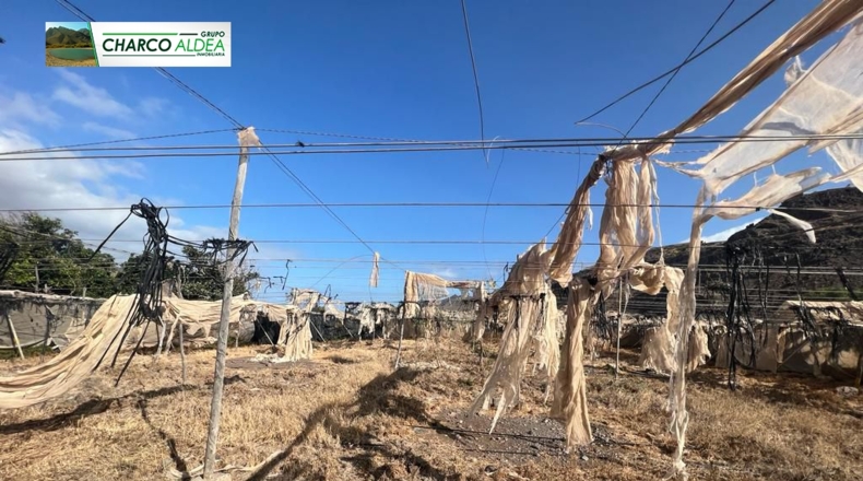 Las Palmas - Molino de Viento - 4389m2
