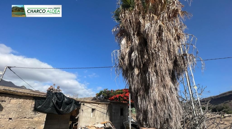 Las Palmas - Molino de Viento - 4389m2