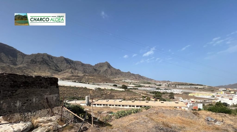 Las Palmas - La Aldea de San Nicolás - 5555m2