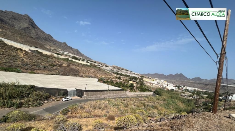 Las Palmas - La Aldea de San Nicolás - 5555m2