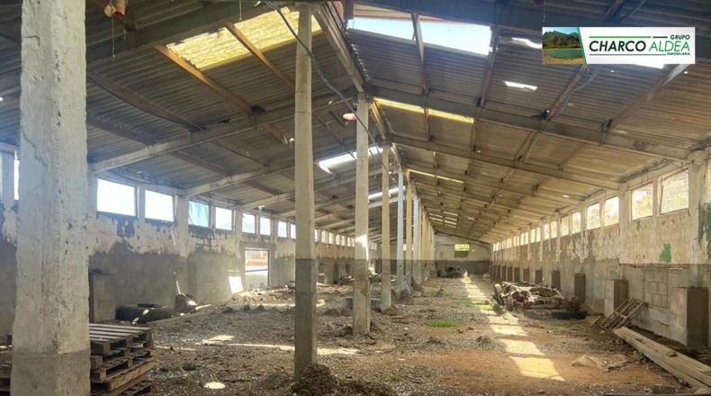 Las Palmas - La Aldea de San Nicolás - 5555m2