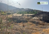 Finca rústica en venda a La Aldea de San Nicolás ref.: TR92891 foto