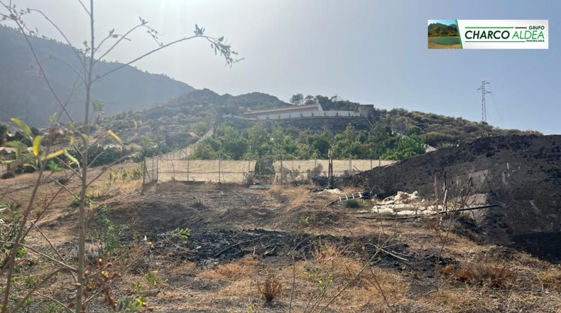 Las Palmas - La Aldea de San Nicolás - 5555m2