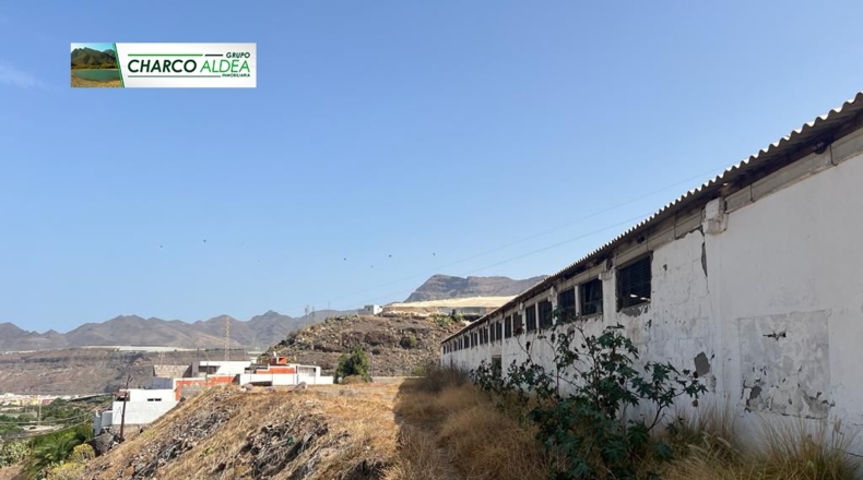 Las Palmas - La Aldea de San Nicolás - 5555m2