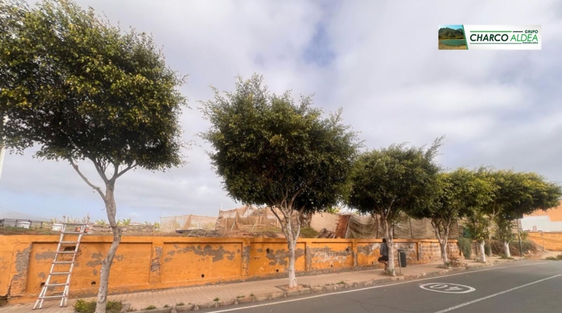 Las Palmas - Telde - 1710m2