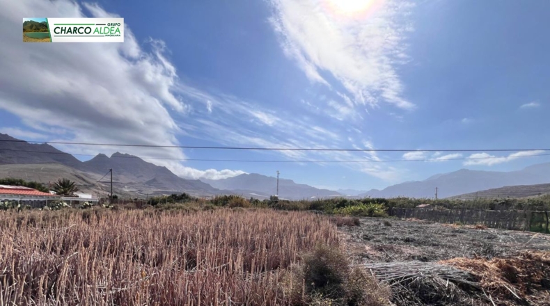 Las Palmas - Las Marciegas - 6870m2