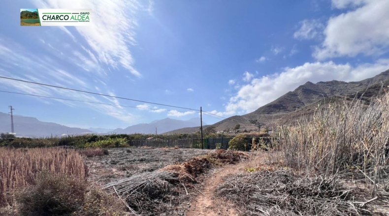 Las Palmas - Las Marciegas - 6870m2
