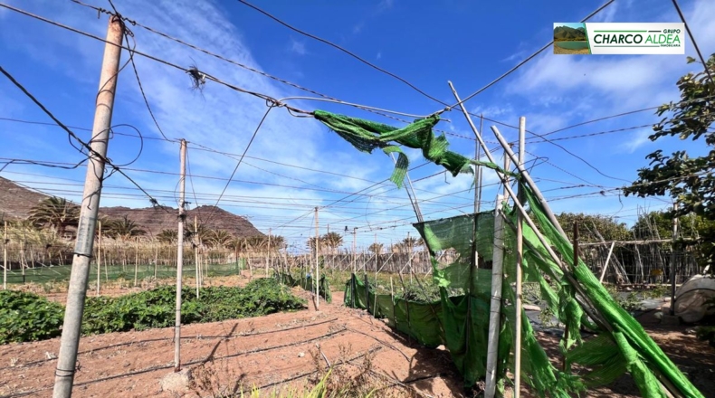 Las Palmas - Las Marciegas - 6870m2
