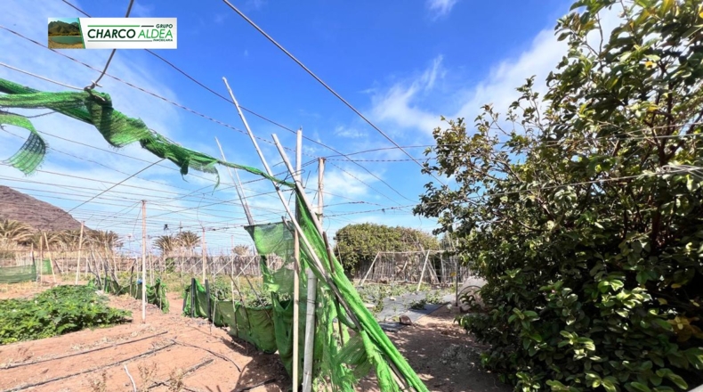 Las Palmas - Las Marciegas - 6870m2