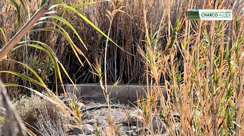 Las Palmas - Las Marciegas - 6870m2