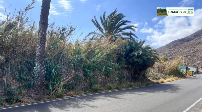Las Palmas - Las Marciegas - 6870m2