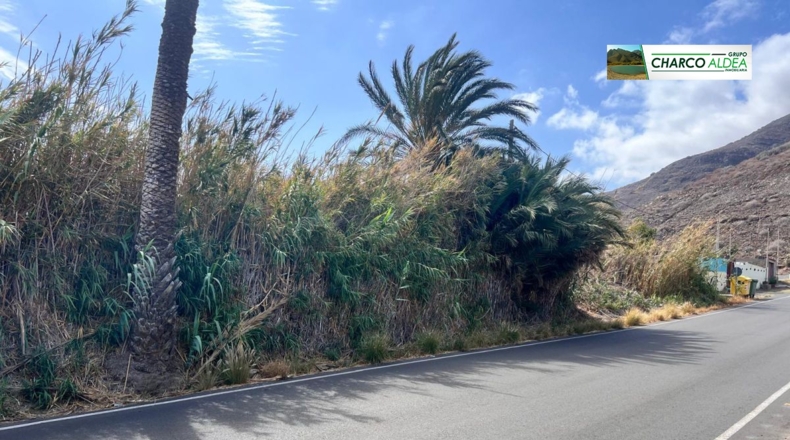 Las Palmas - Las Marciegas - 6870m2