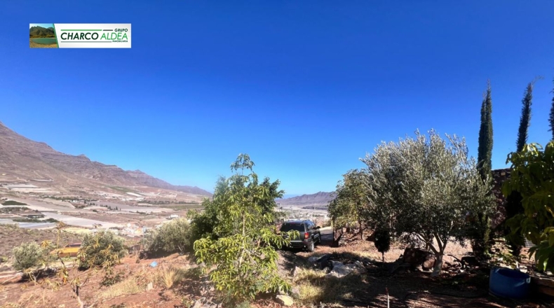 Las Palmas - Molino de Viento - 3905m2