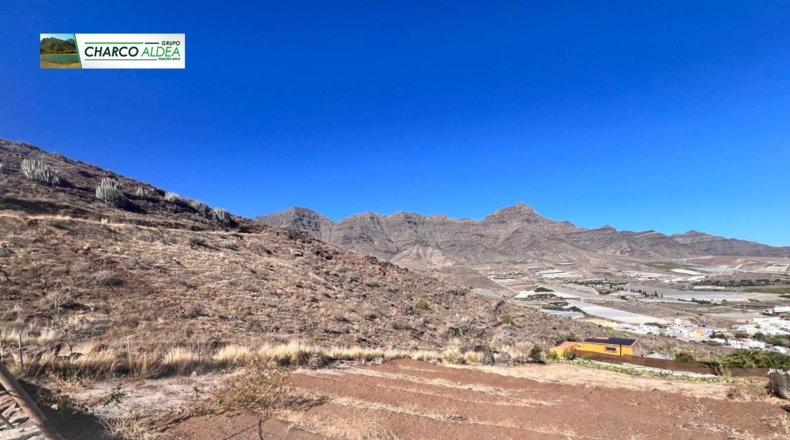 Las Palmas - Molino de Viento - 3905m2