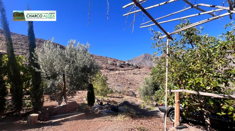 Las Palmas - Molino de Viento - 3905m2