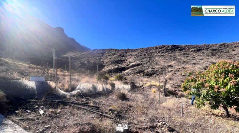 Las Palmas - Molino de Viento - 3905m2