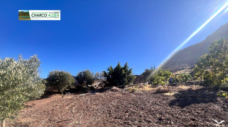 Las Palmas - Molino de Viento - 3905m2