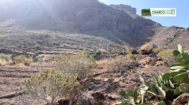 Las Palmas - La Aldea de San Nicolás - 230m2