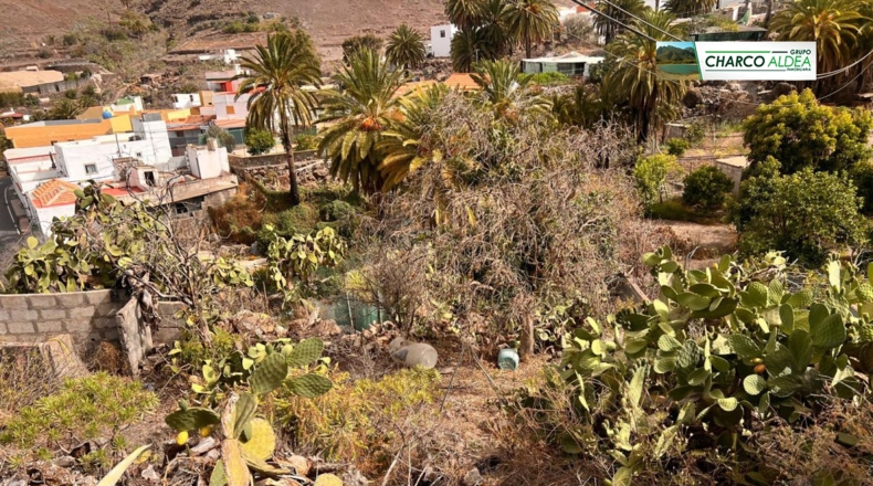 Las Palmas - Tasarte - 1718m2