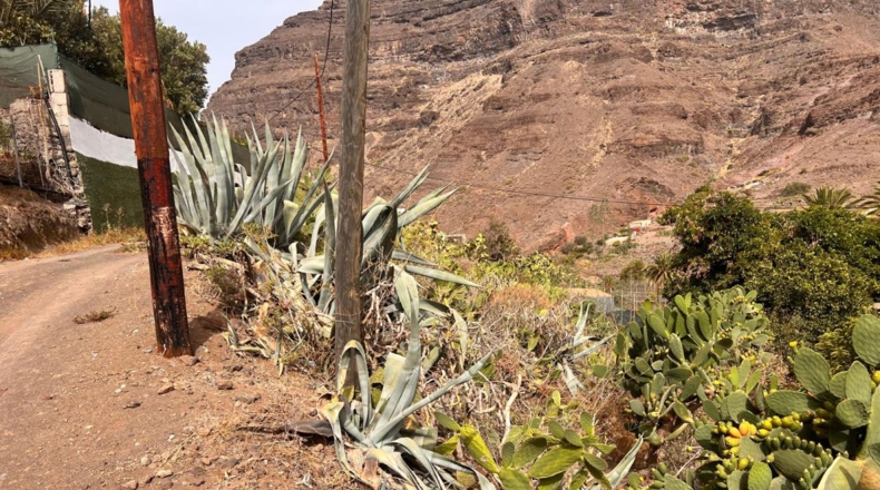 Las Palmas - Tasarte - 1718m2