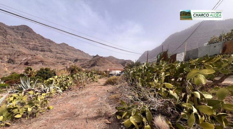 Las Palmas - Tasarte - 1718m2