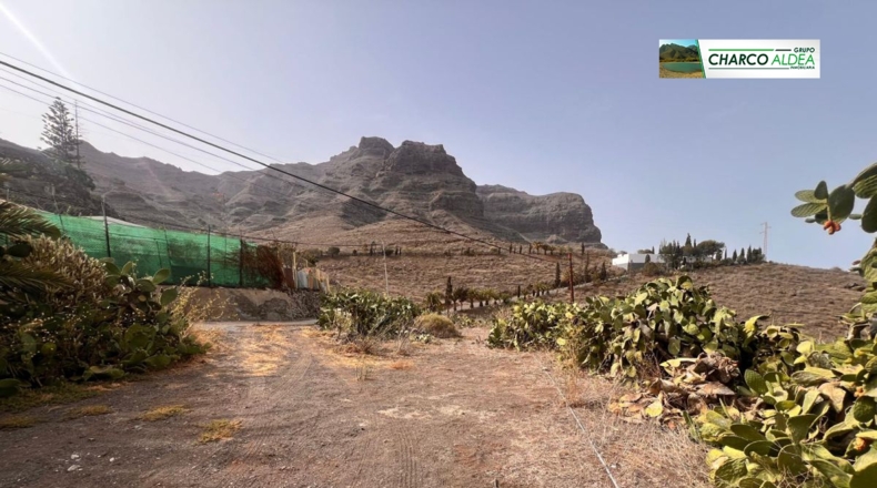 Las Palmas - Tasarte - 1718m2