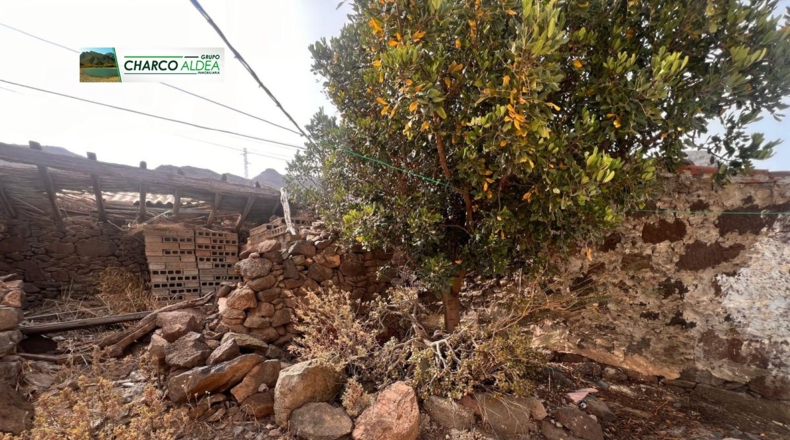 Las Palmas - Tasarte - 1718m2
