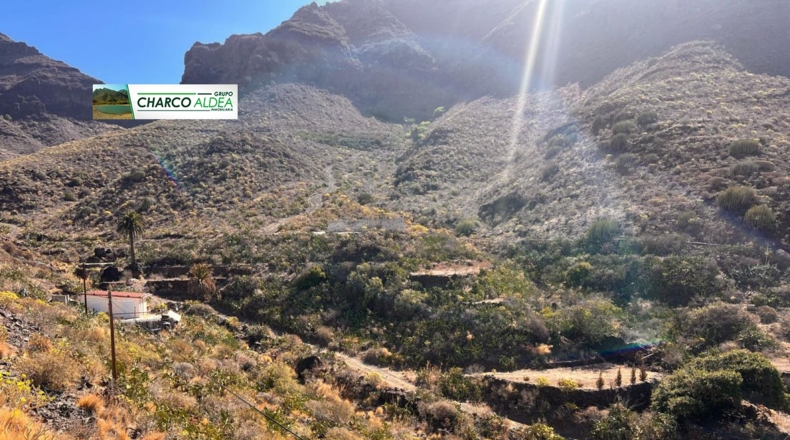 Las Palmas - Tasartico - 14000m2