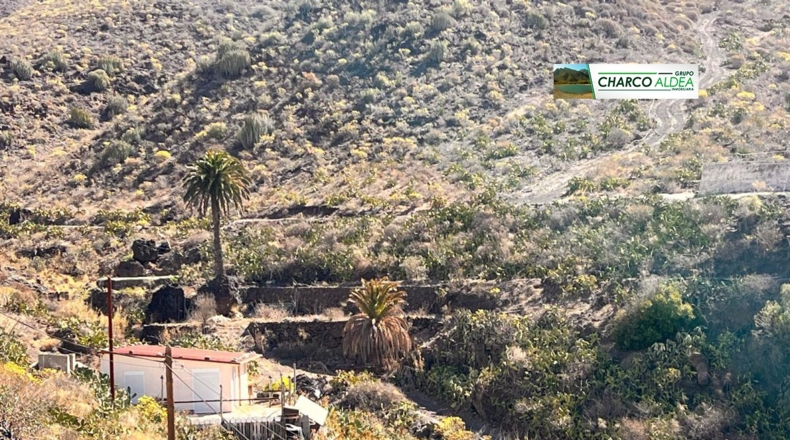 Las Palmas - Tasartico - 14000m2
