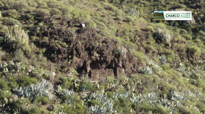 Las Palmas - Tasartico - 14000m2