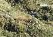 Rural estate for sale in La Aldea de San Nicolás ref: TR184130 photo