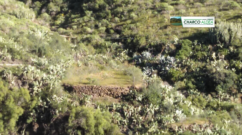 Las Palmas - Tasartico - 14000m2
