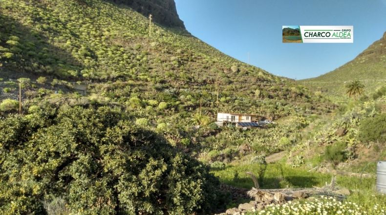 Las Palmas - Tasartico - 14000m2