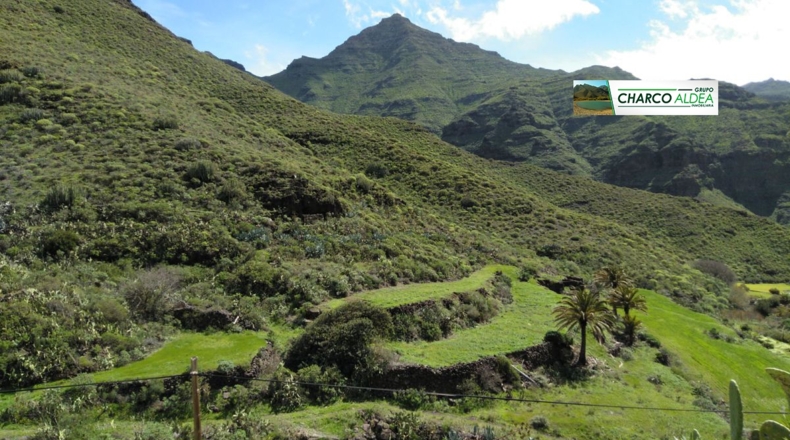 Las Palmas - Tasartico - 14000m2