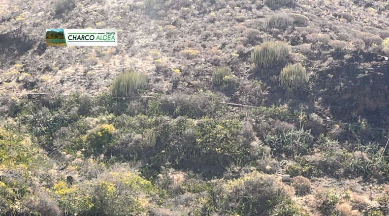 Las Palmas - Tasartico - 14000m2