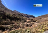 Rural estate for sale in La Aldea de San Nicolás ref: TR184130 photo